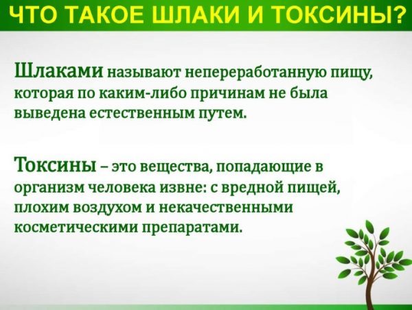 Что такое шлаки и токсины