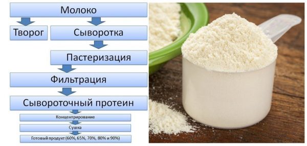 Что такое сывороточный концентрат