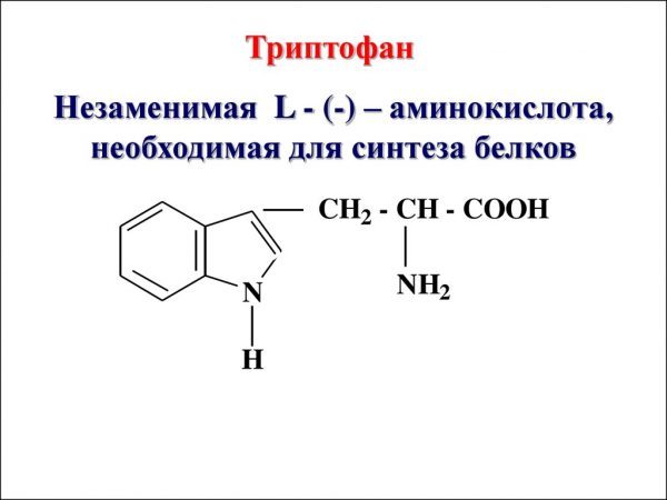 Что такое и зачем нужен триптофан?